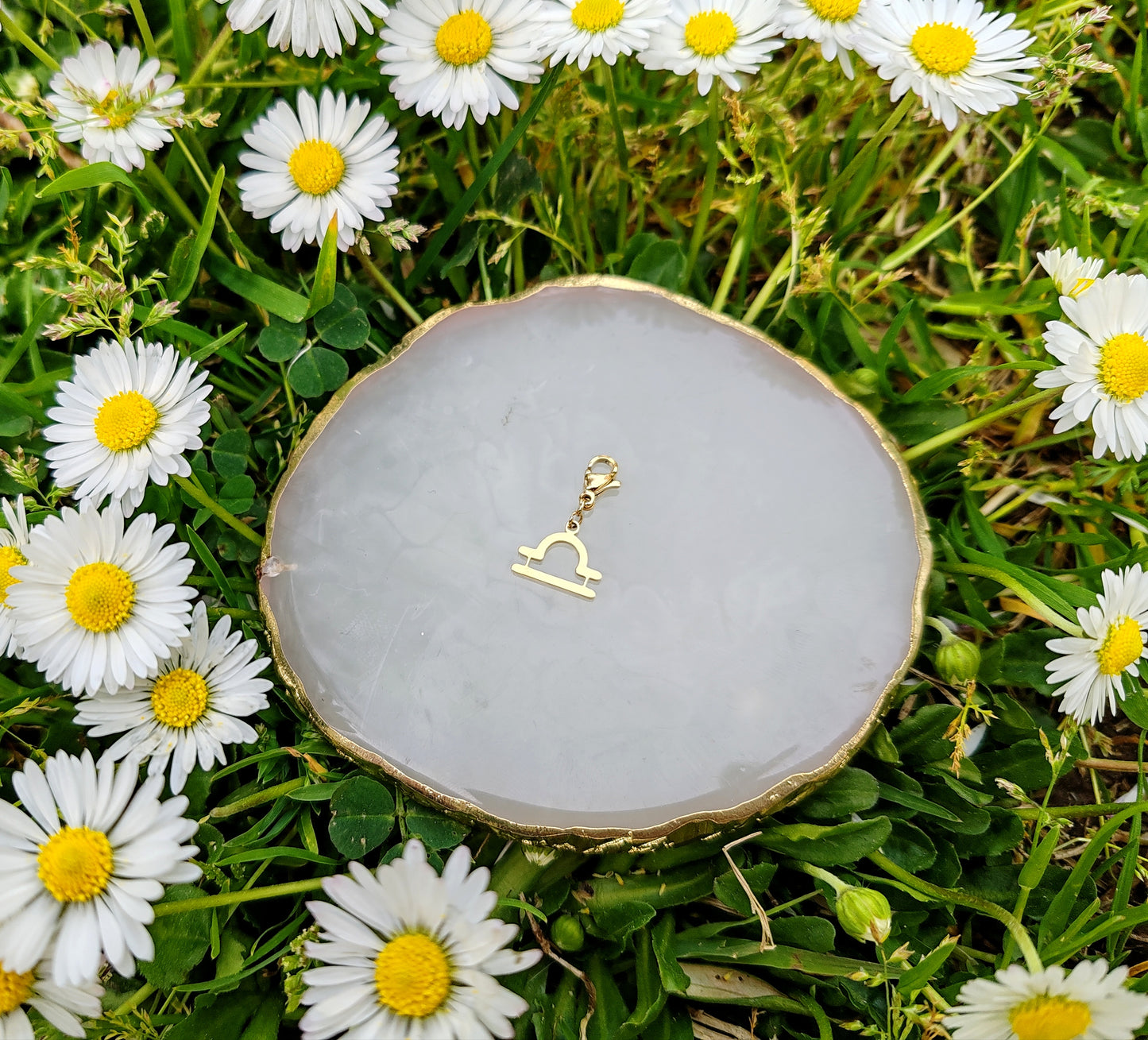 CHARM SIGNE ASTROLOGIQUE