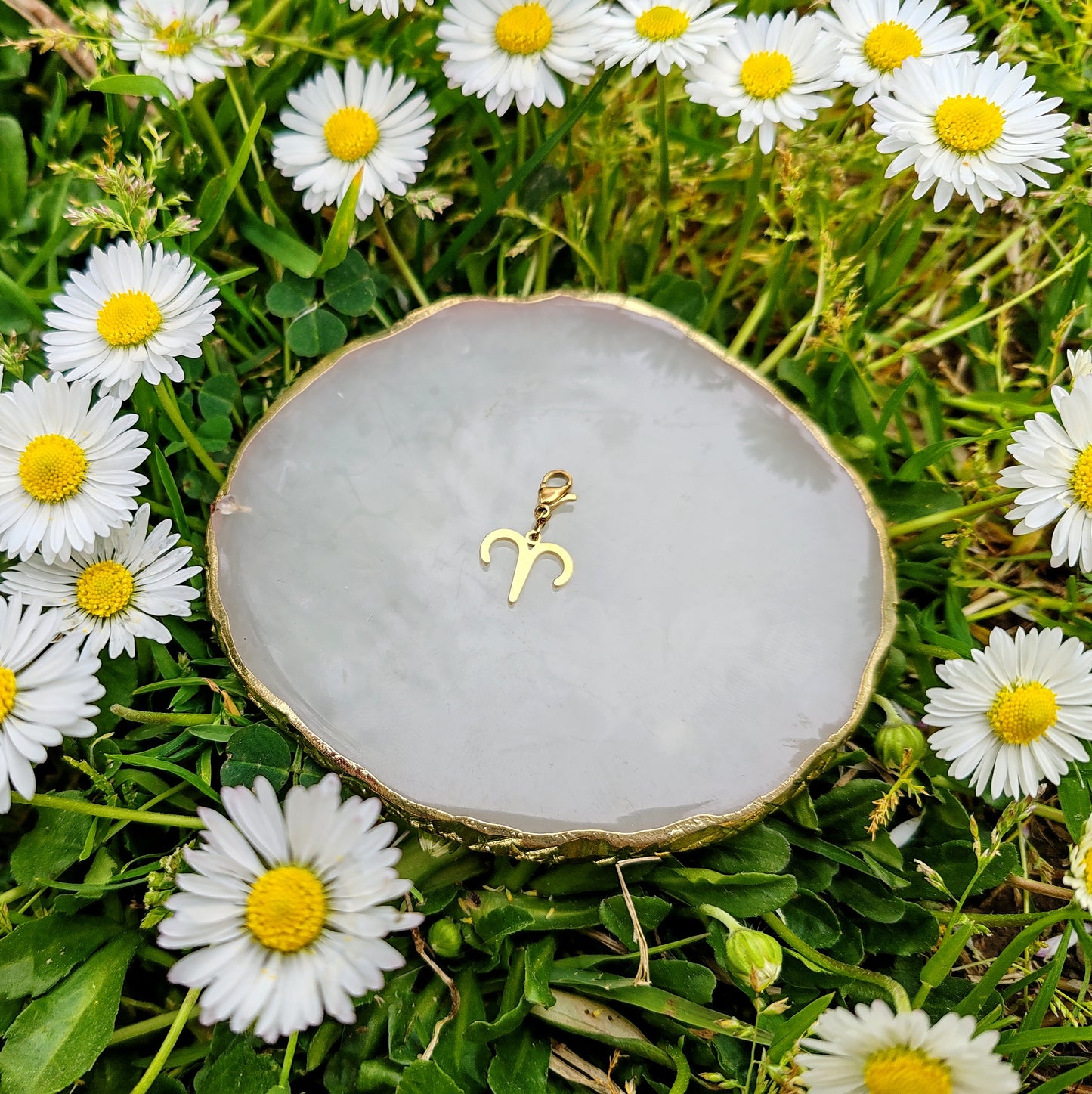 CHARM SIGNE ASTROLOGIQUE