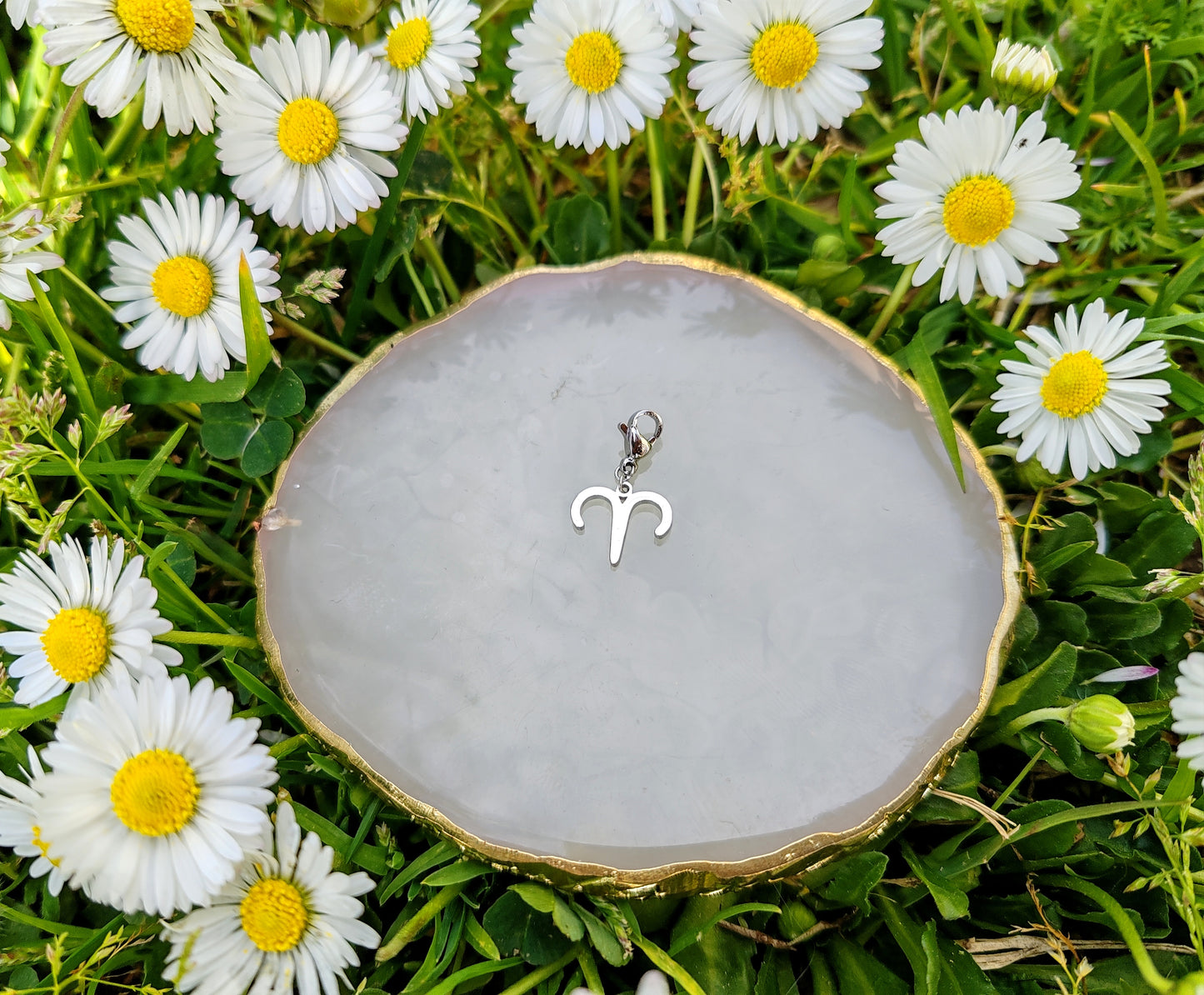 CHARM SIGNE ASTROLOGIQUE