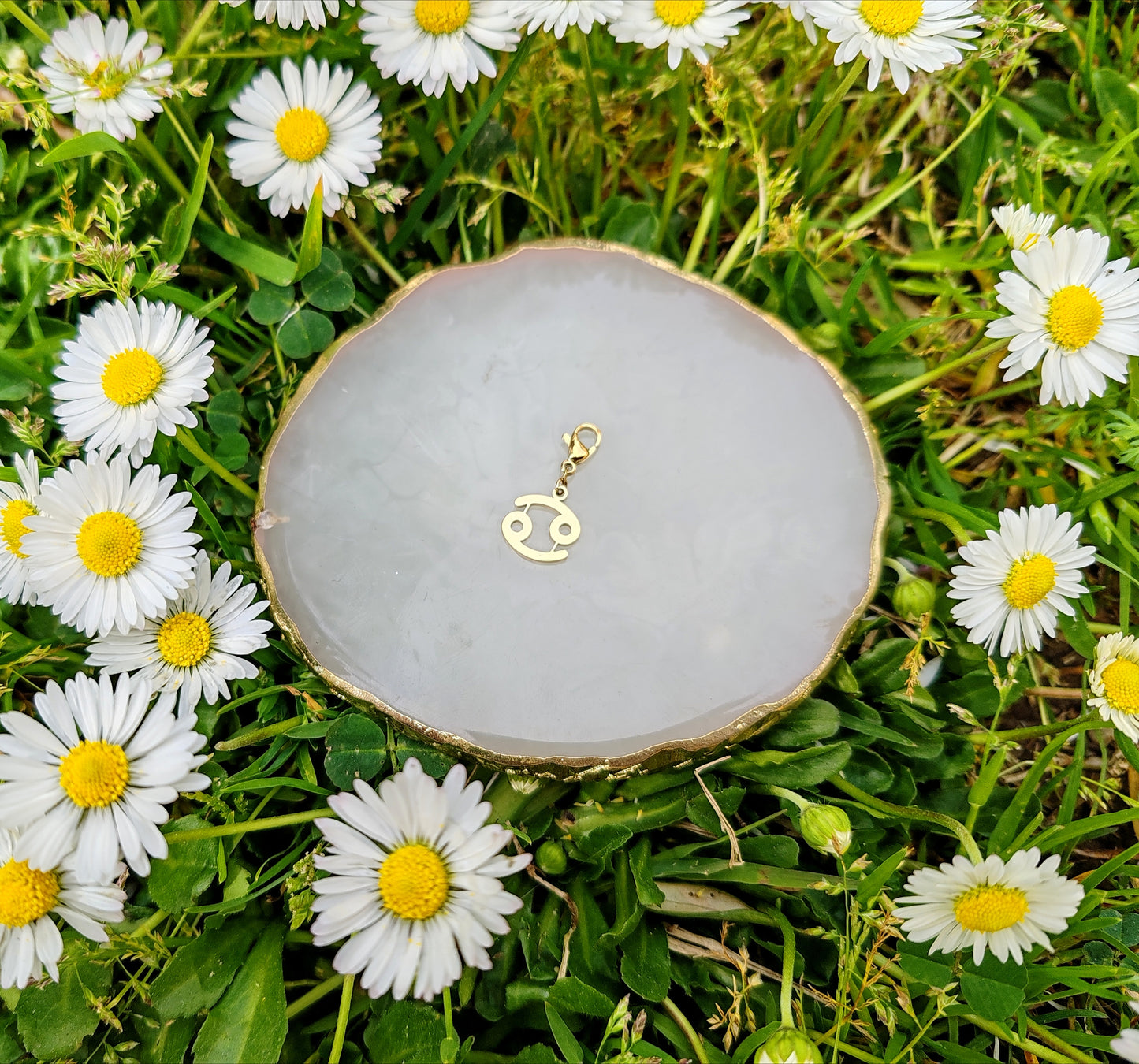 CHARM SIGNE ASTROLOGIQUE