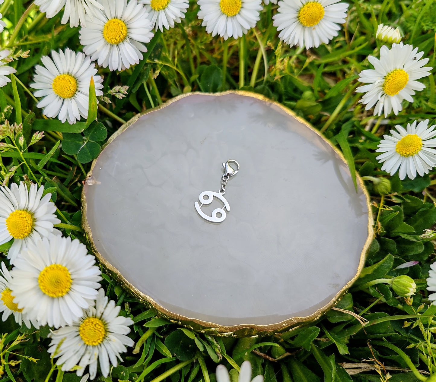 CHARM SIGNE ASTROLOGIQUE