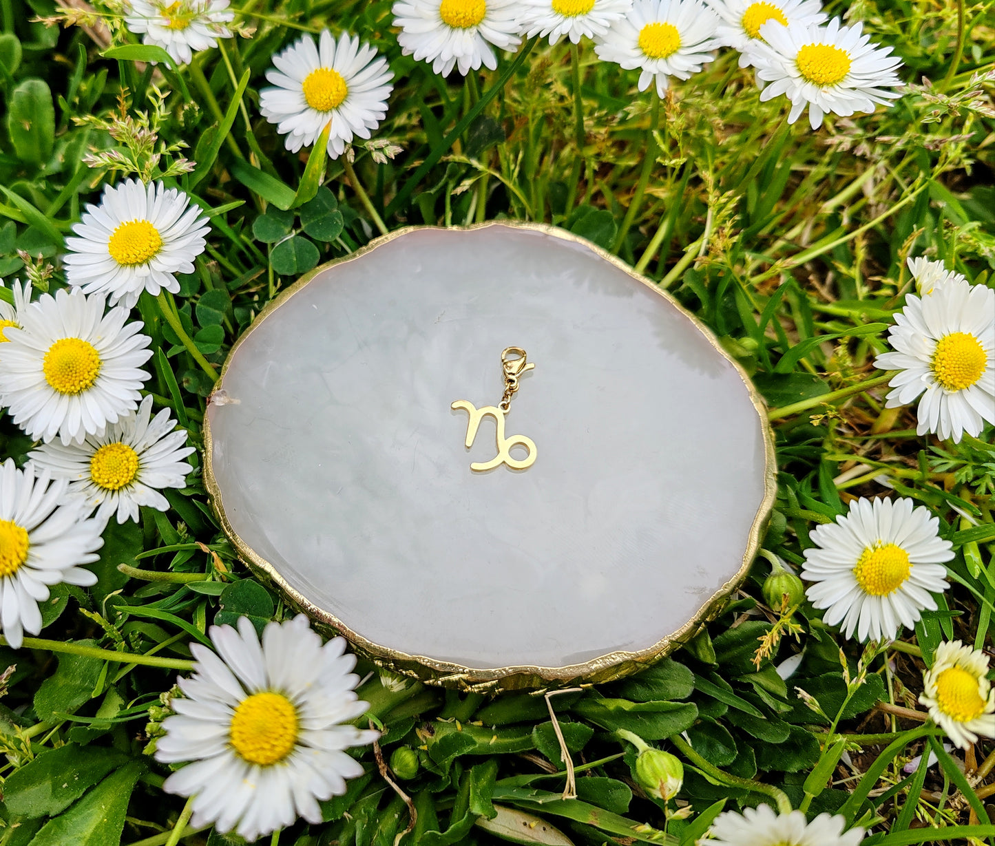 CHARM SIGNE ASTROLOGIQUE