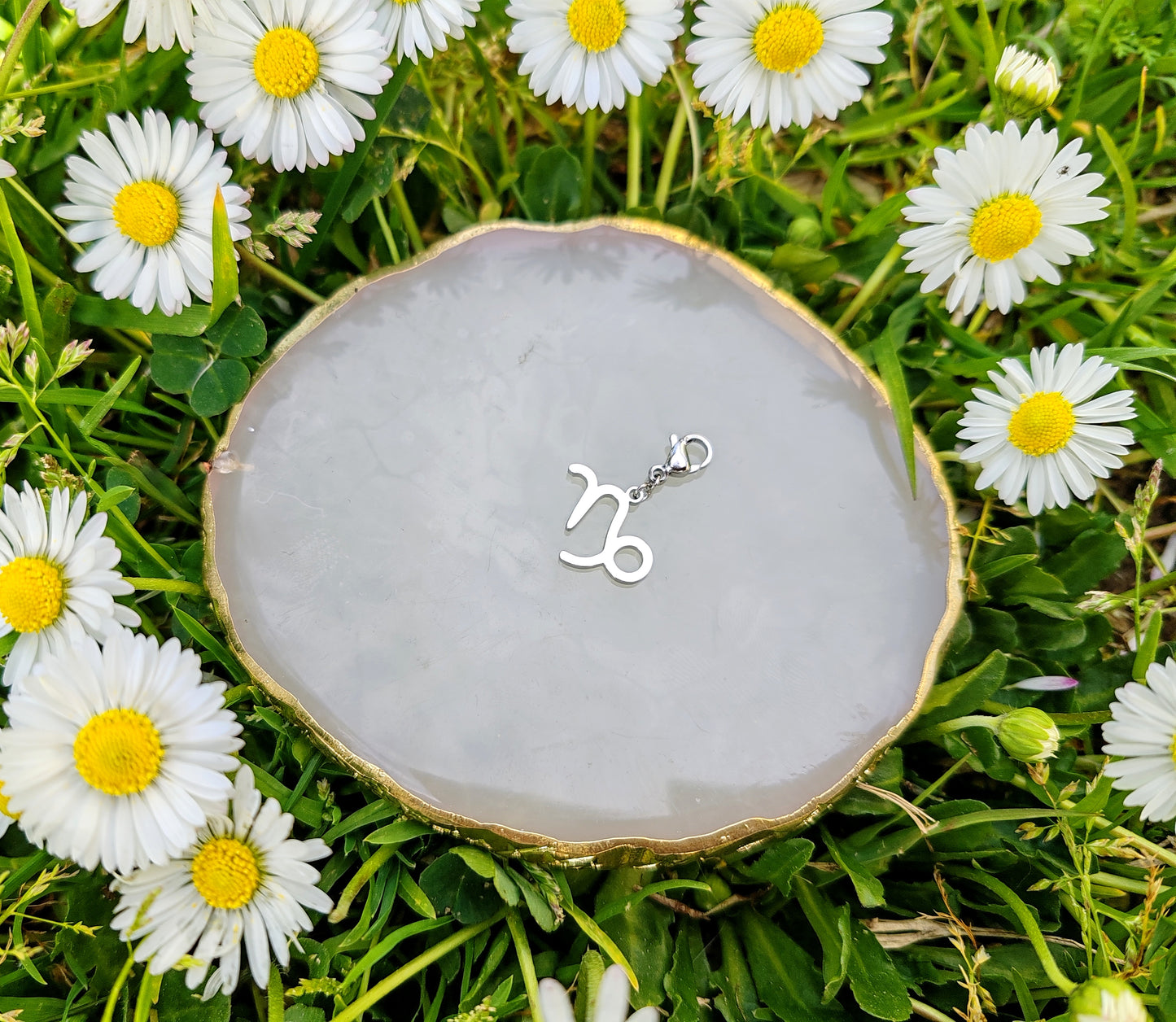 CHARM SIGNE ASTROLOGIQUE