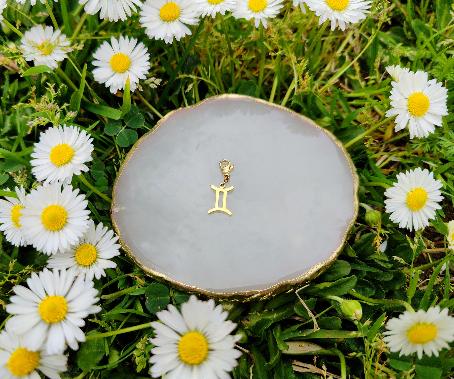 CHARM SIGNE ASTROLOGIQUE