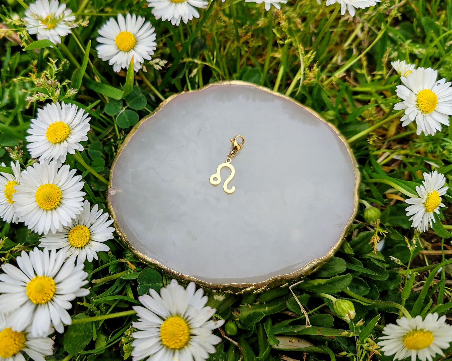 CHARM SIGNE ASTROLOGIQUE