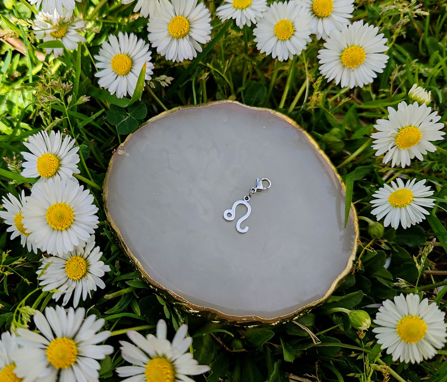 CHARM SIGNE ASTROLOGIQUE