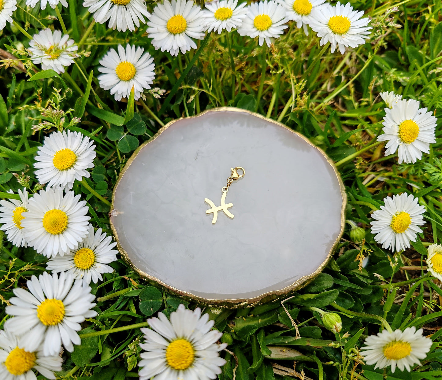 CHARM SIGNE ASTROLOGIQUE