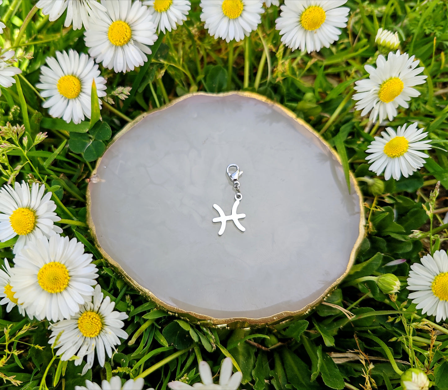 CHARM SIGNE ASTROLOGIQUE