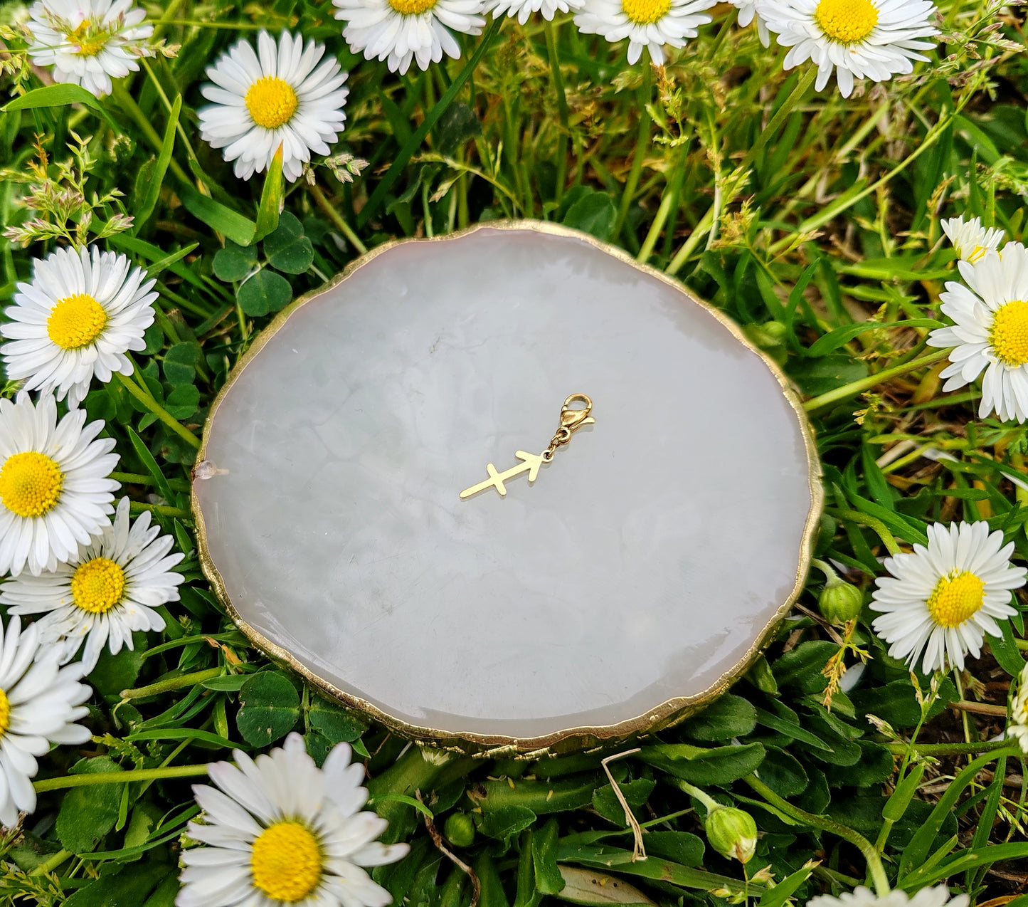 CHARM SIGNE ASTROLOGIQUE