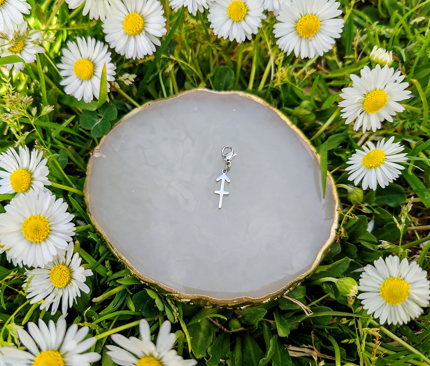 CHARM SIGNE ASTROLOGIQUE
