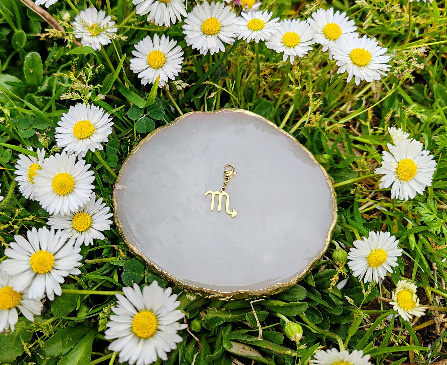 CHARM SIGNE ASTROLOGIQUE