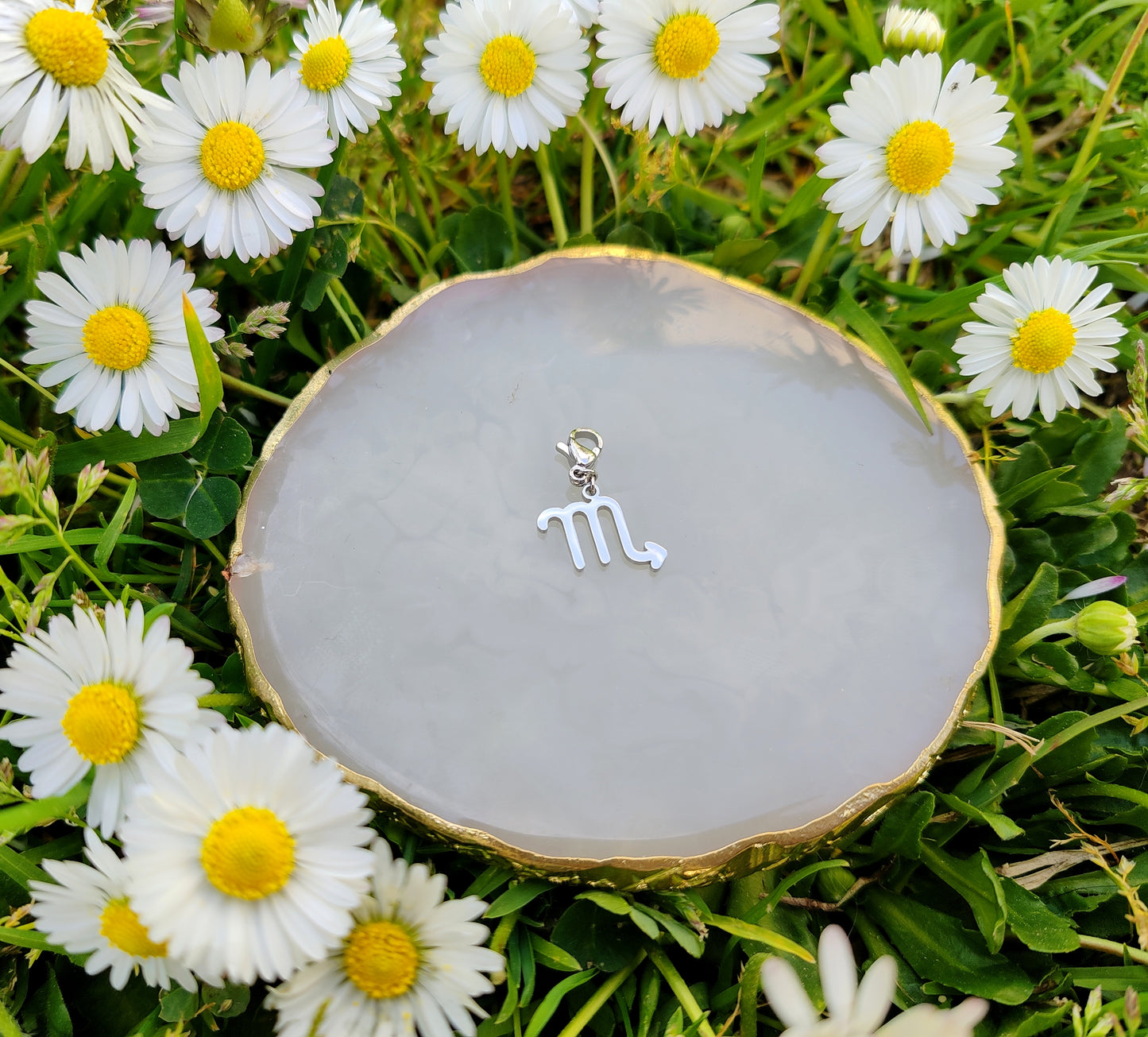 CHARM SIGNE ASTROLOGIQUE