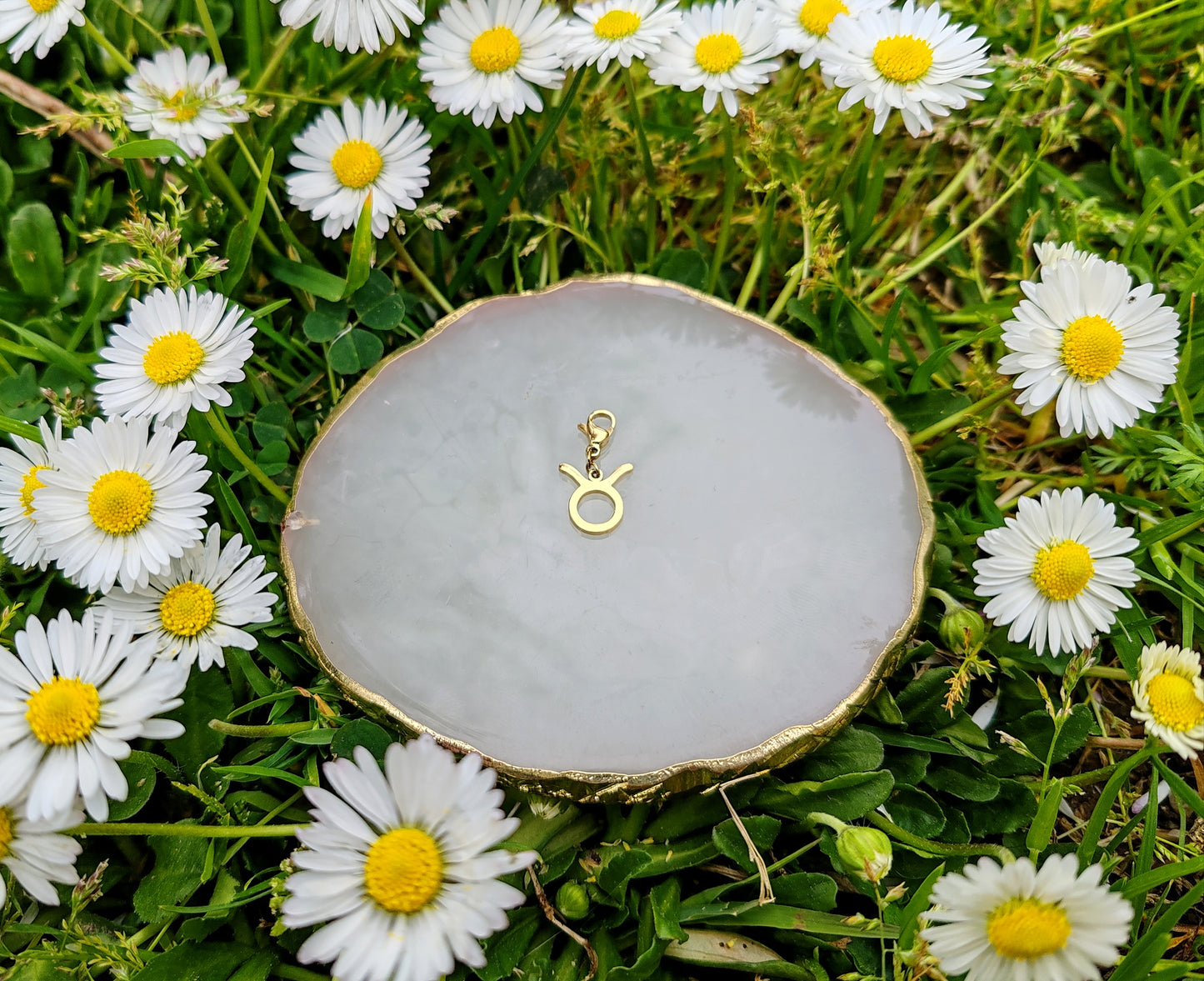 CHARM SIGNE ASTROLOGIQUE