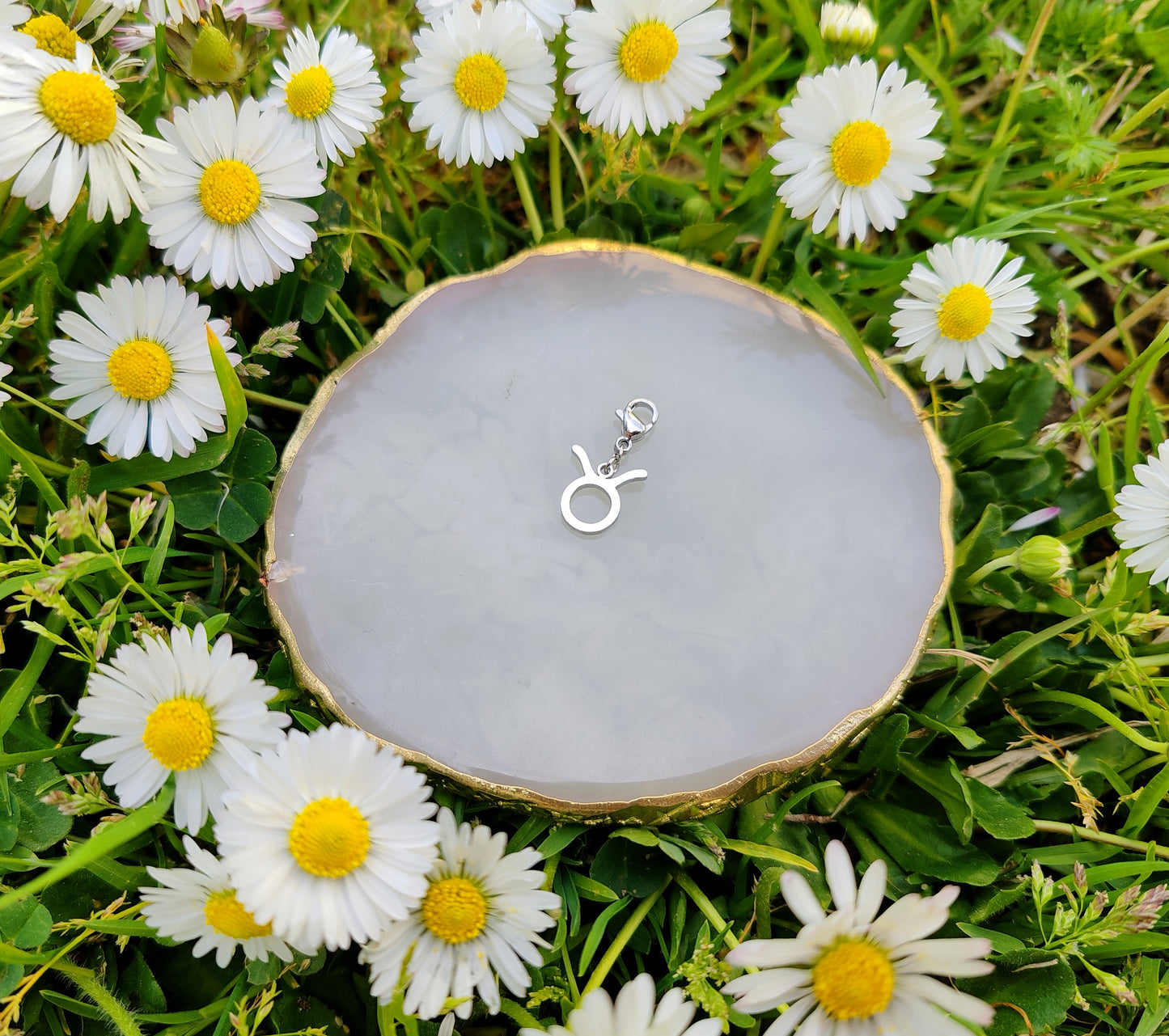 CHARM SIGNE ASTROLOGIQUE
