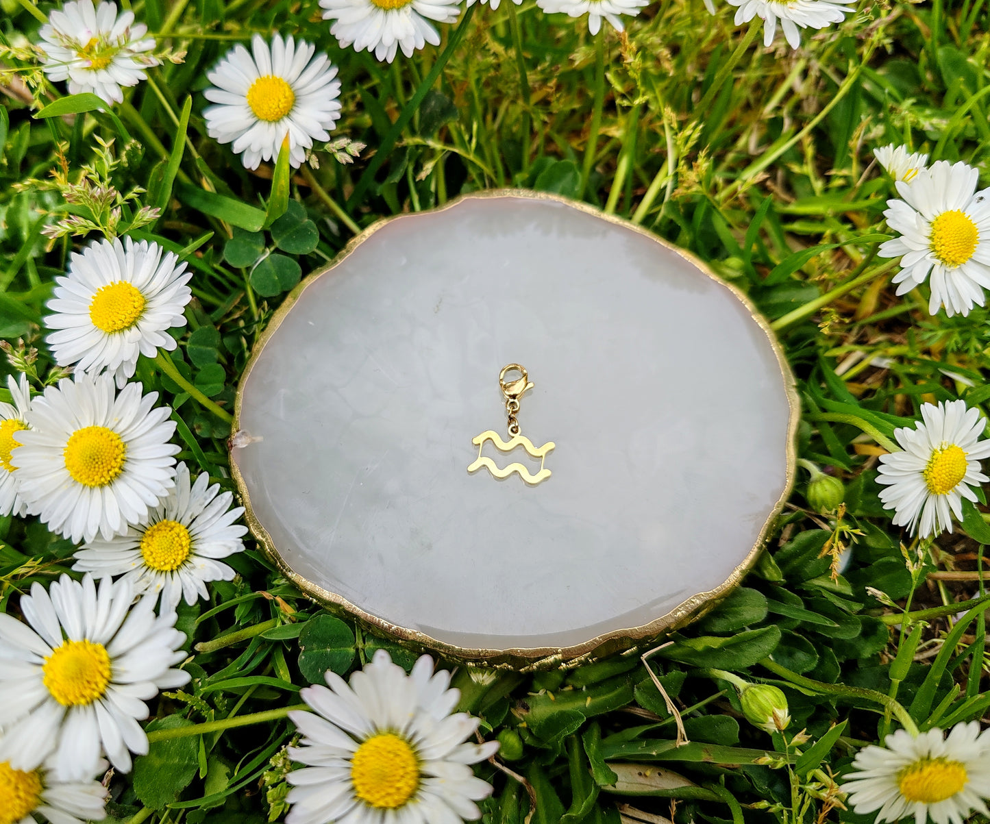 CHARM SIGNE ASTROLOGIQUE