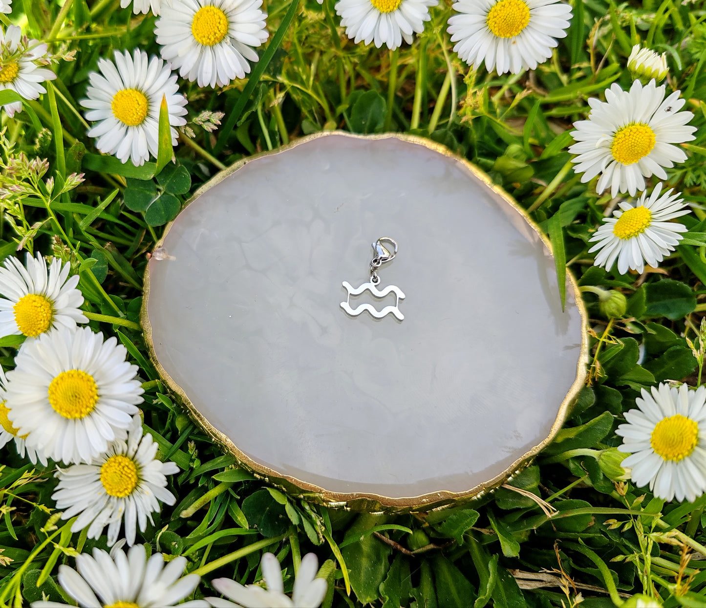 CHARM SIGNE ASTROLOGIQUE