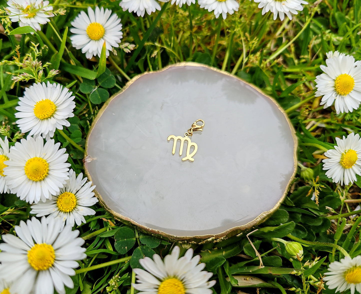 CHARM SIGNE ASTROLOGIQUE